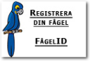 Fågel-ID